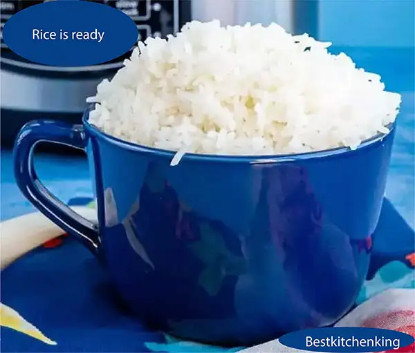 rice keeping pot