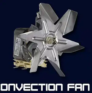 Convection Fan