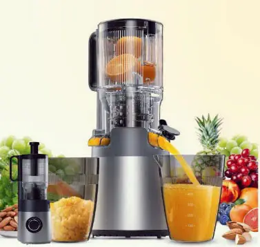 Cold Press Juicer